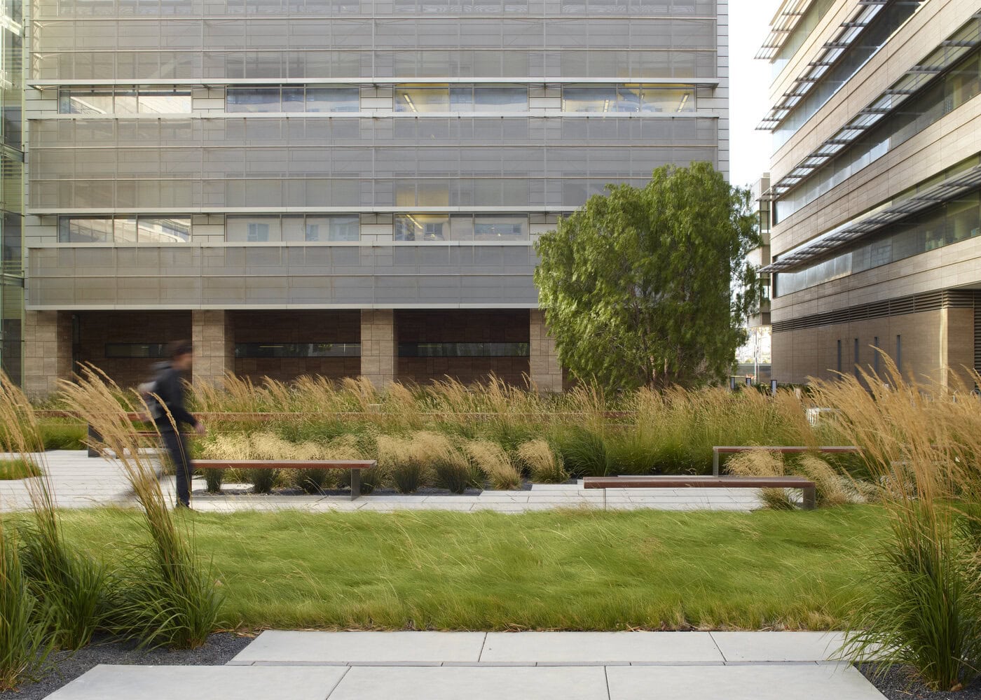 03-20170324-USA-San-Francisco-Cardiovascular-Center-BCB-Mari