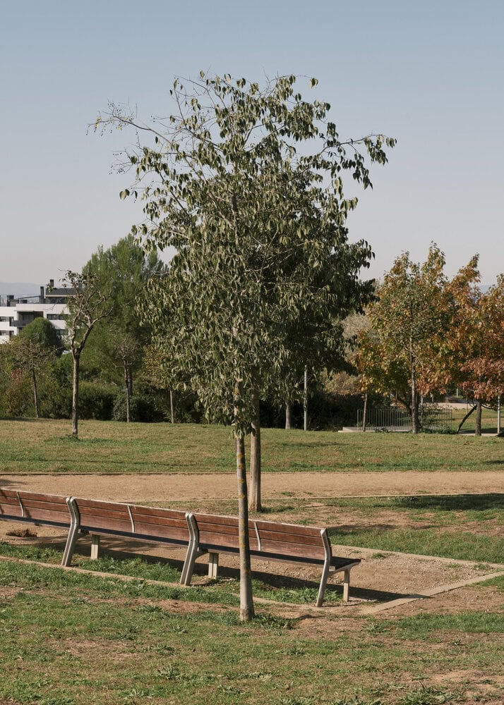 04-20211105-Spain-Sant-Cugat-Parque-Turo-Can-Mates-NRB-Equip