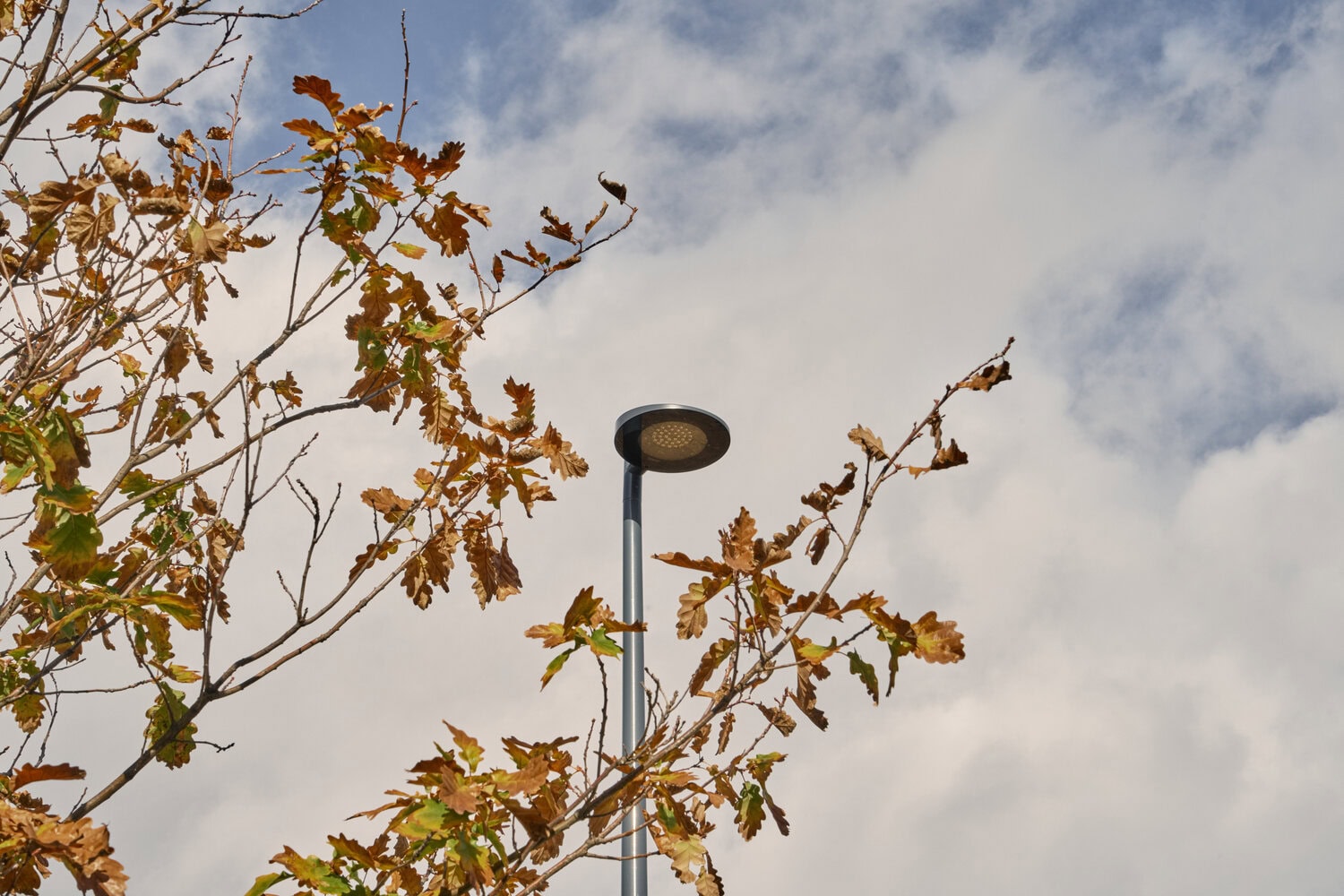 20221123-Spain-Logrono-Bodegas-Faustino-SLL-La-Juani-Studio- (1)