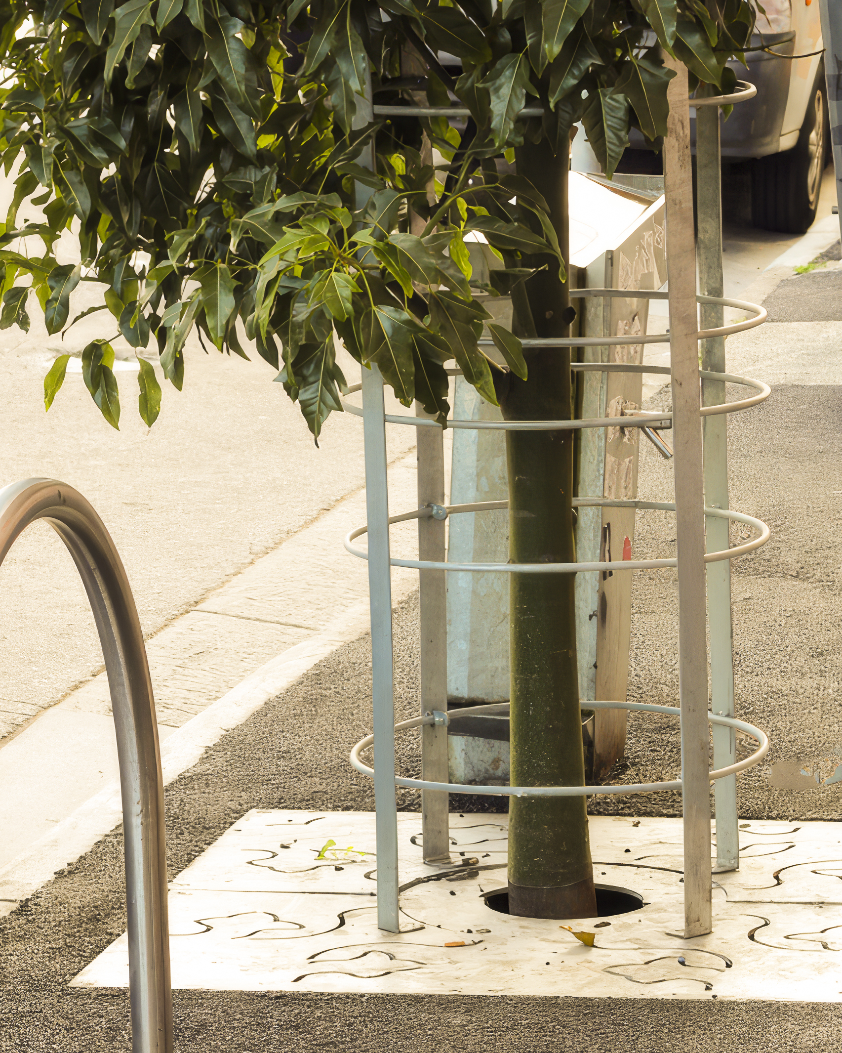 steel-slatted-tree-guard-03a-standard-upscaler-2