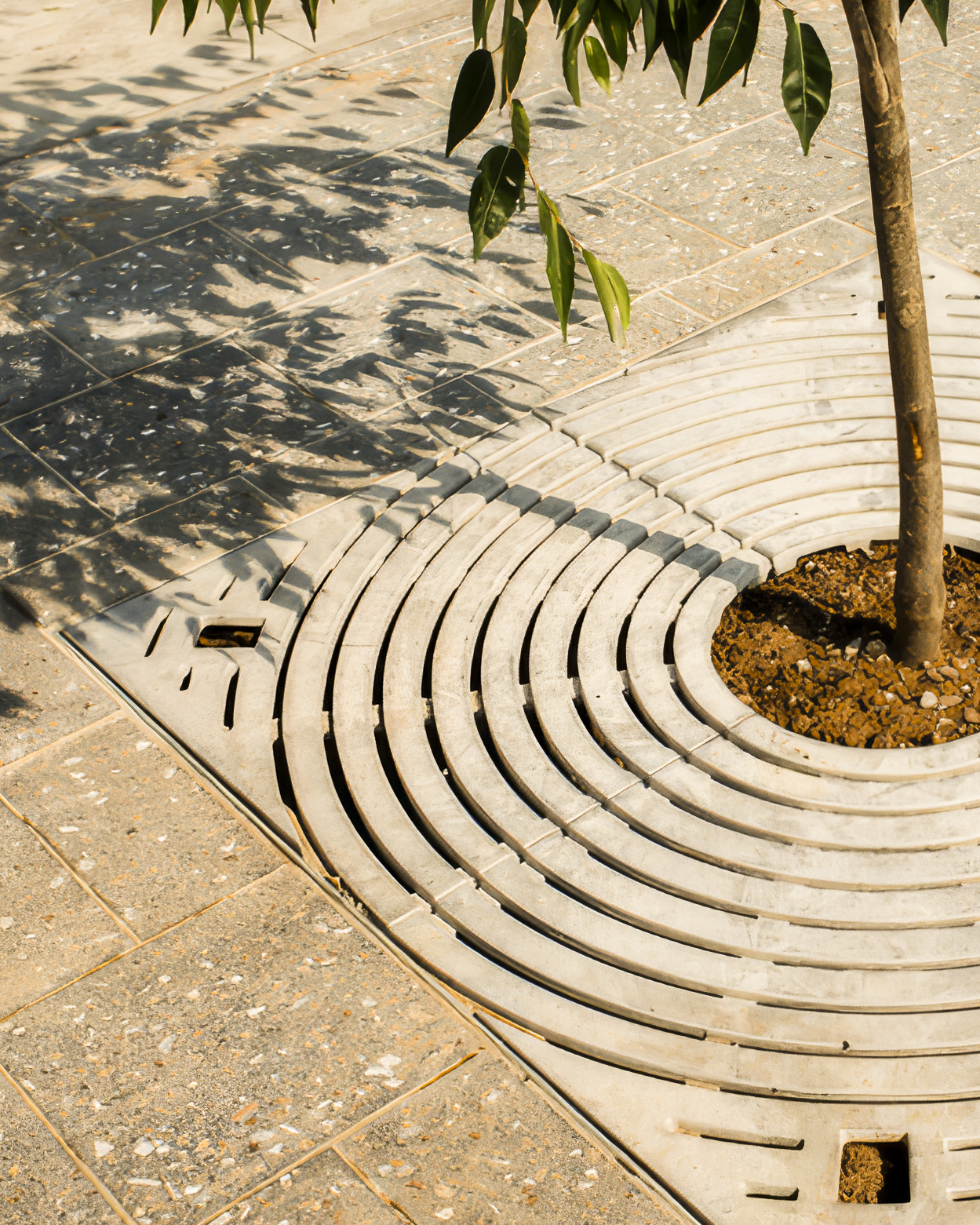 tree-grate-tree-furniture-03b-standard-upscaler-2