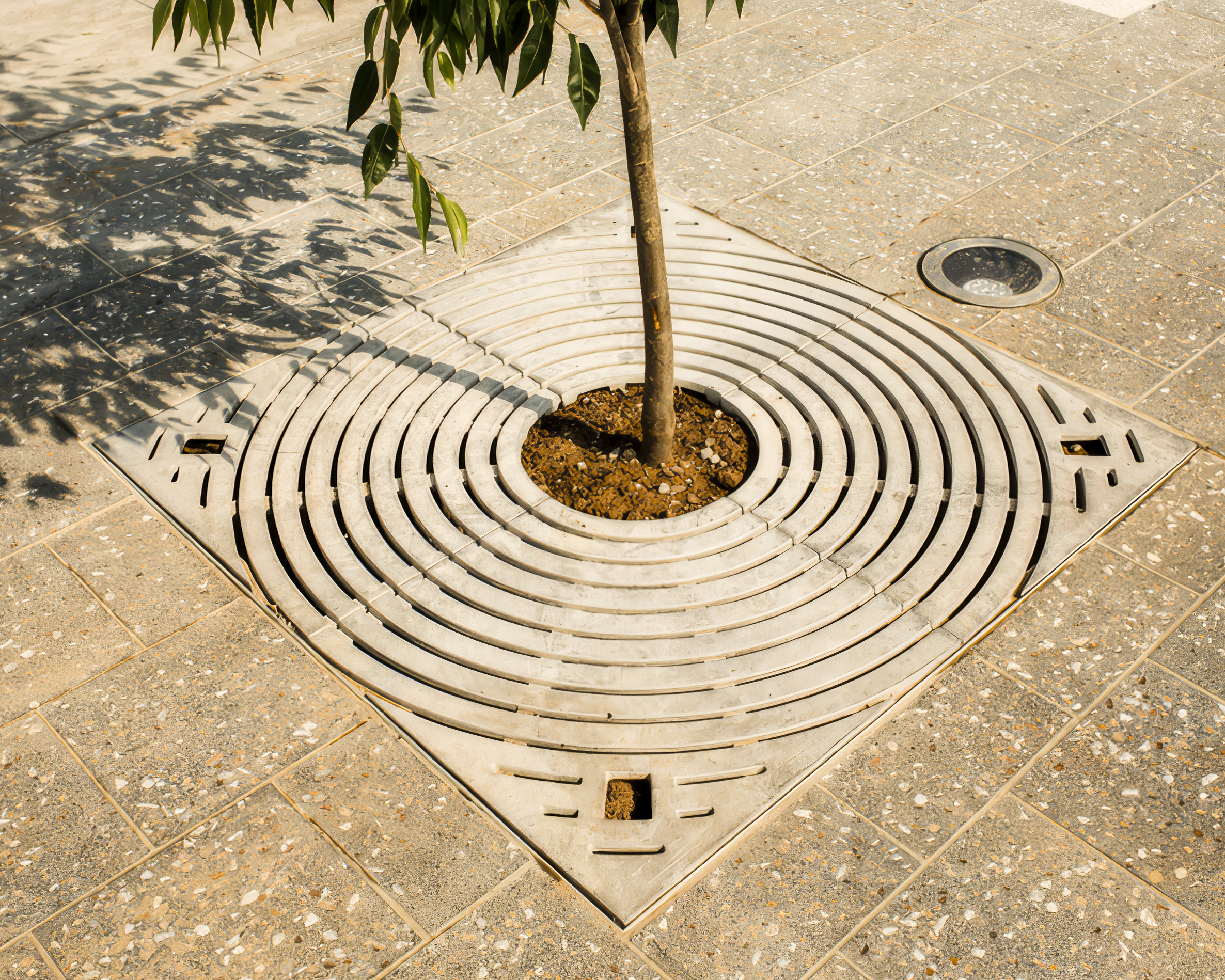 tree-grate-tree-furniture-03b-standard-upscaler