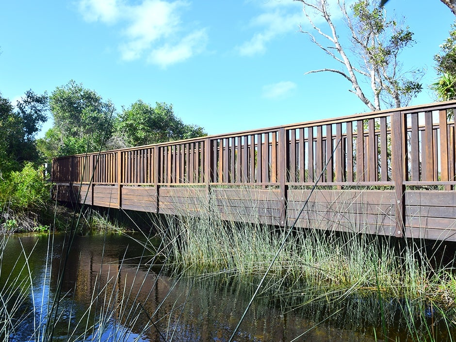 Fraser Island1